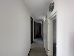 Midtown Modern (D7), Apartment #457598911